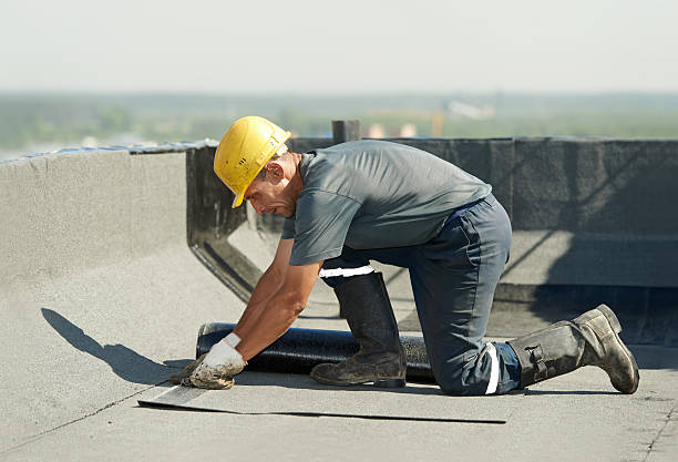 Best Cellulose Insulation in Black Point Green Point, CA