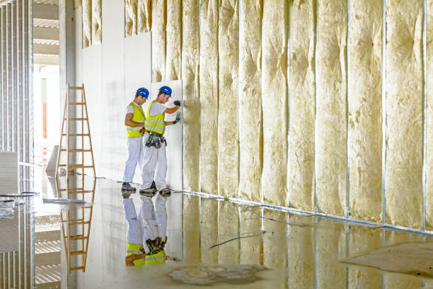 Best Specialized Insulation Services in Black Point Green Point, CA